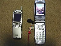 �V�����g��