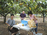 ���������@��